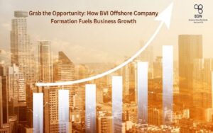 BVI-offshore-company