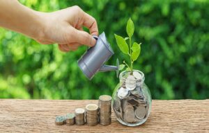 Savings Account Statements