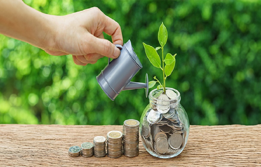 Savings Account Statements
